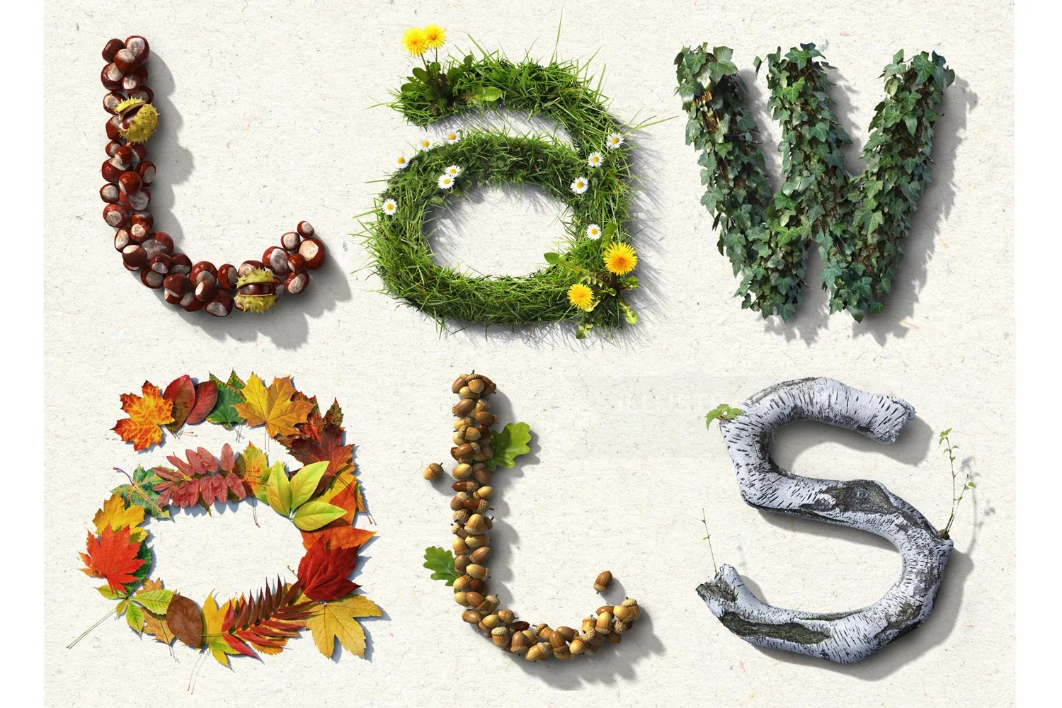 Word 'lawals' formed with leaves, nuts, and flowers by Frank Neidhardt