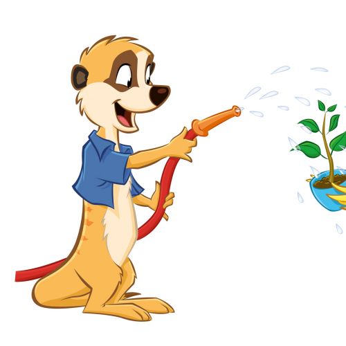 Cartoon & Humour Pumba and bird watering
