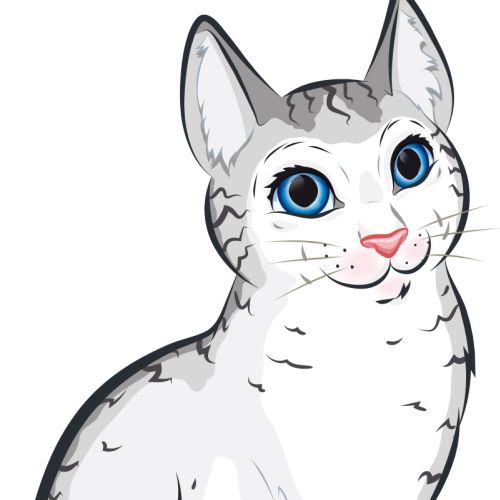 Cartoon & Humour cat with blue eyes
