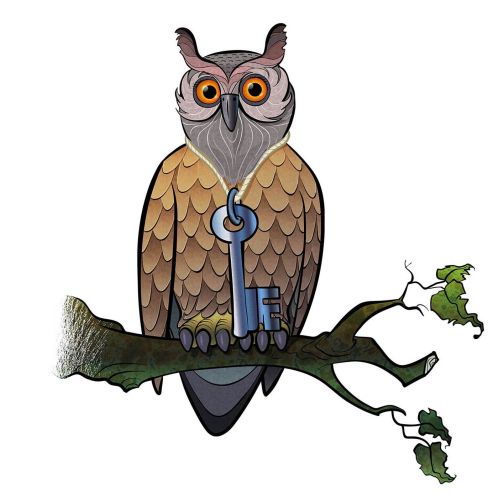 Cartoon & Humour owl with key
