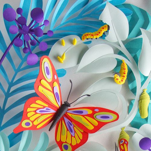 Butterfly life-cycle paper art for Brio Magazine