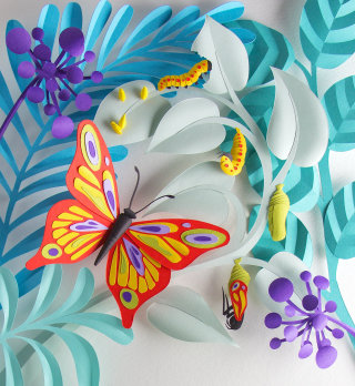 蝶のライフサイクルを描いた紙のイラスト