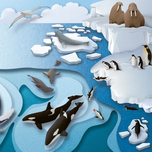 Illustration of Arctic animals including whales, seals, penguins, and walruses on ice