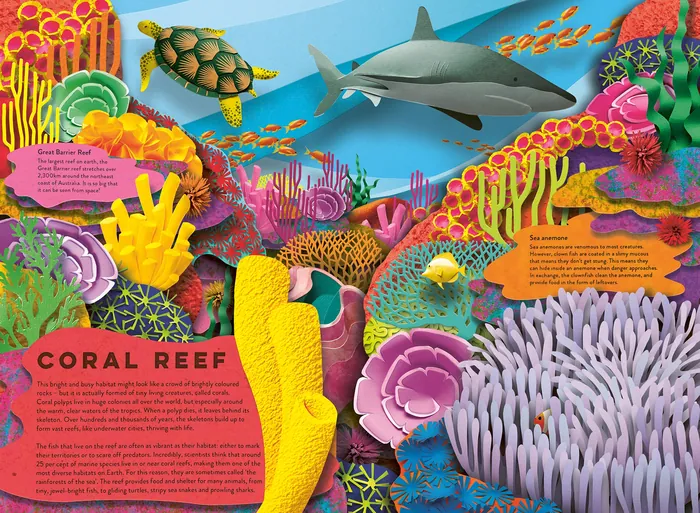Colorful coral reef with fish, shark, turtle, and various coral species underwater
