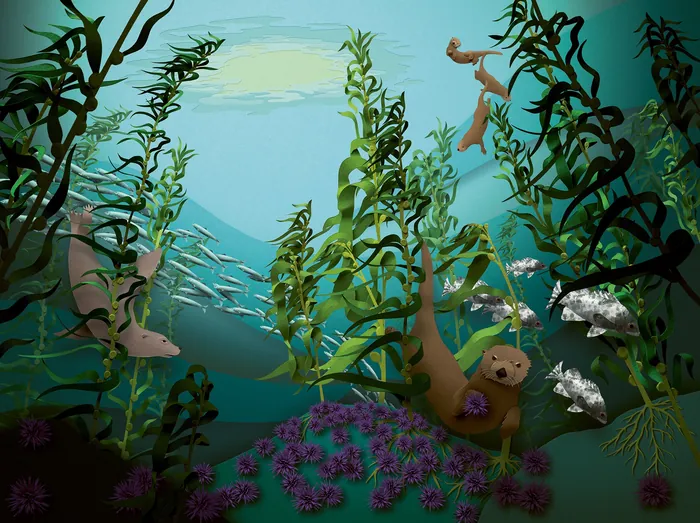 Sea otter floats among fish and kelp in underwater habitat