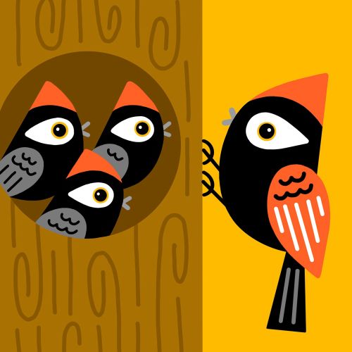 Four stylized birds with black, orange, and gray details in a tree and on a branch by Genna Blackbur