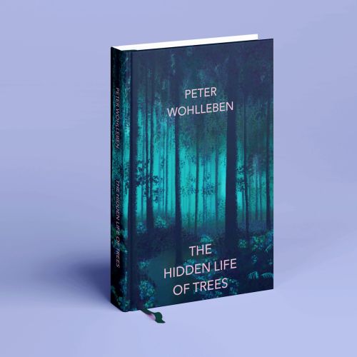 Mock up of cover artwork for ‘The Hidden Life of Trees’