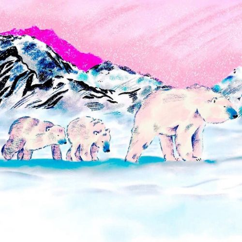 Animal Polar Bears painting