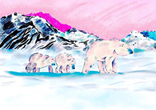 动物北极熊绘画