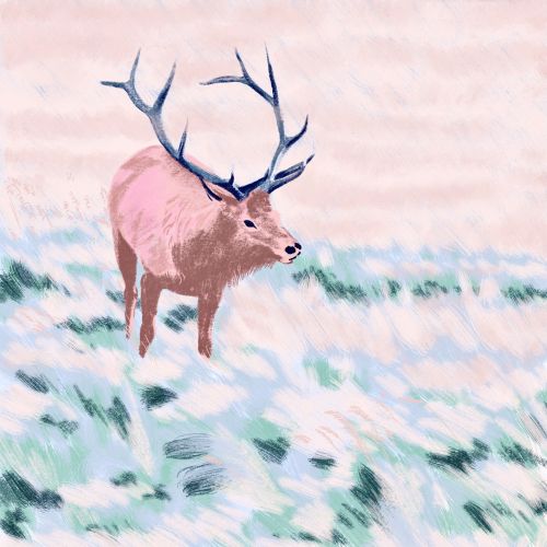 Christmas Stag painting by Georgie Stewart