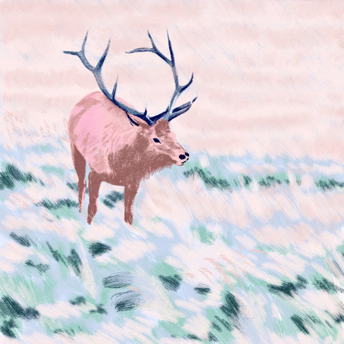 Christmas Stag painting by Georgie Stewart