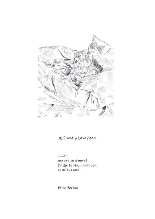 Ilustración de letras para My Duvet: A Love Poem