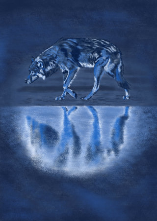 野生のオオカミのリアルな絵画