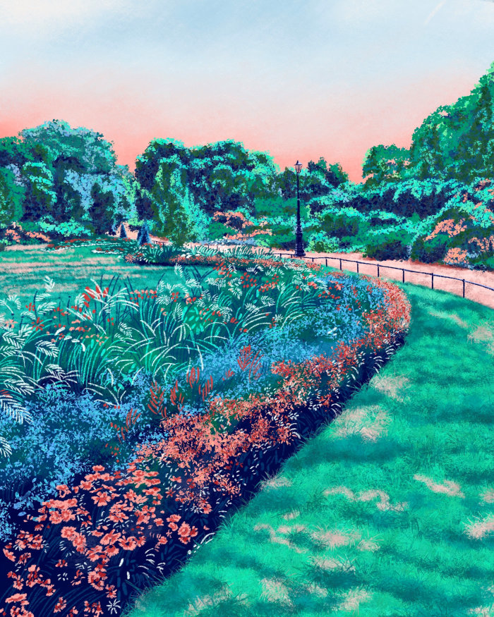 Sketch artwork of Hyde Park Rose Garden for Apple Inc