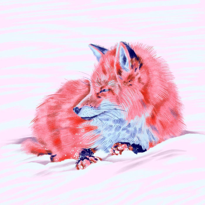 Cartão de Natal com uma ilustração de raposa