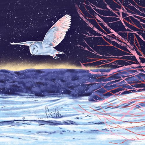 Flying Owl painting by Georgie Stewart