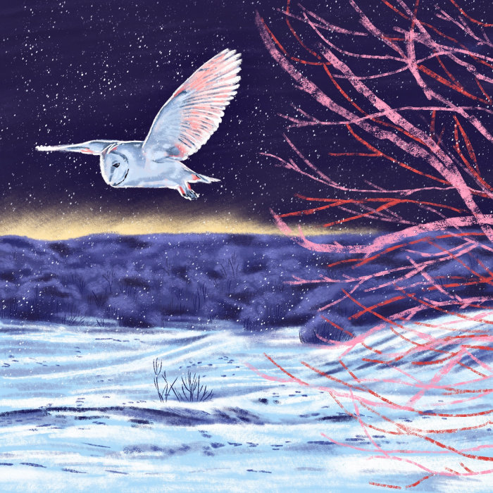 Pintura de Coruja Voadora por Georgie Stewart