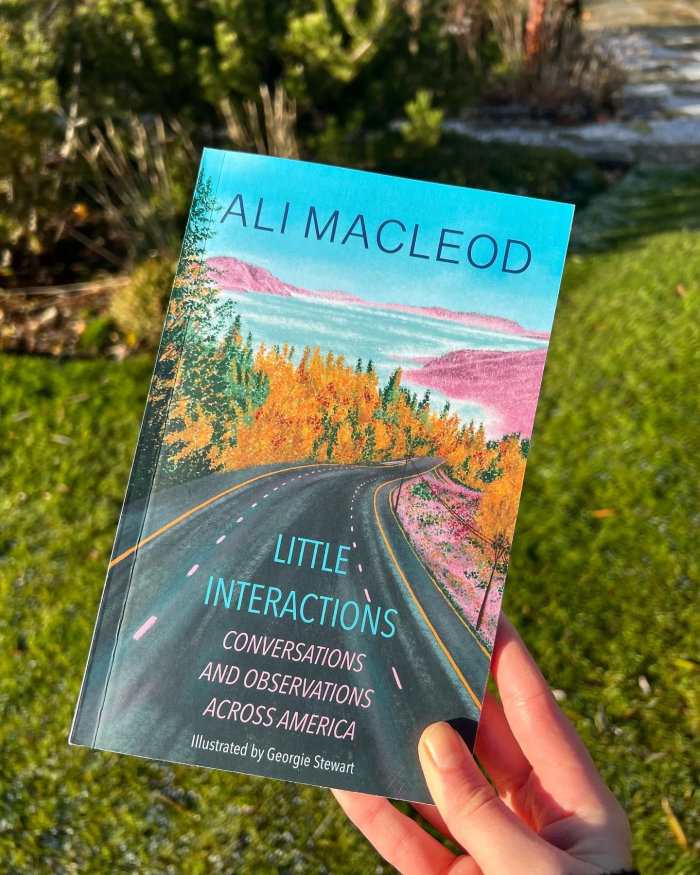 Capa do livro Pequenas Interações de Ali Macleod