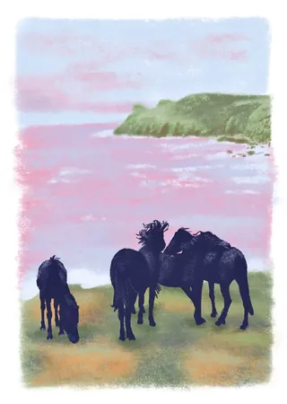 Horses near coastal cliff at sunset by Georgie Stewart