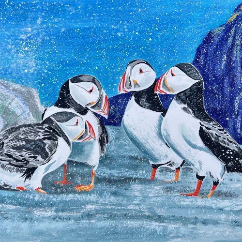 Artwork of puffins on cliffs