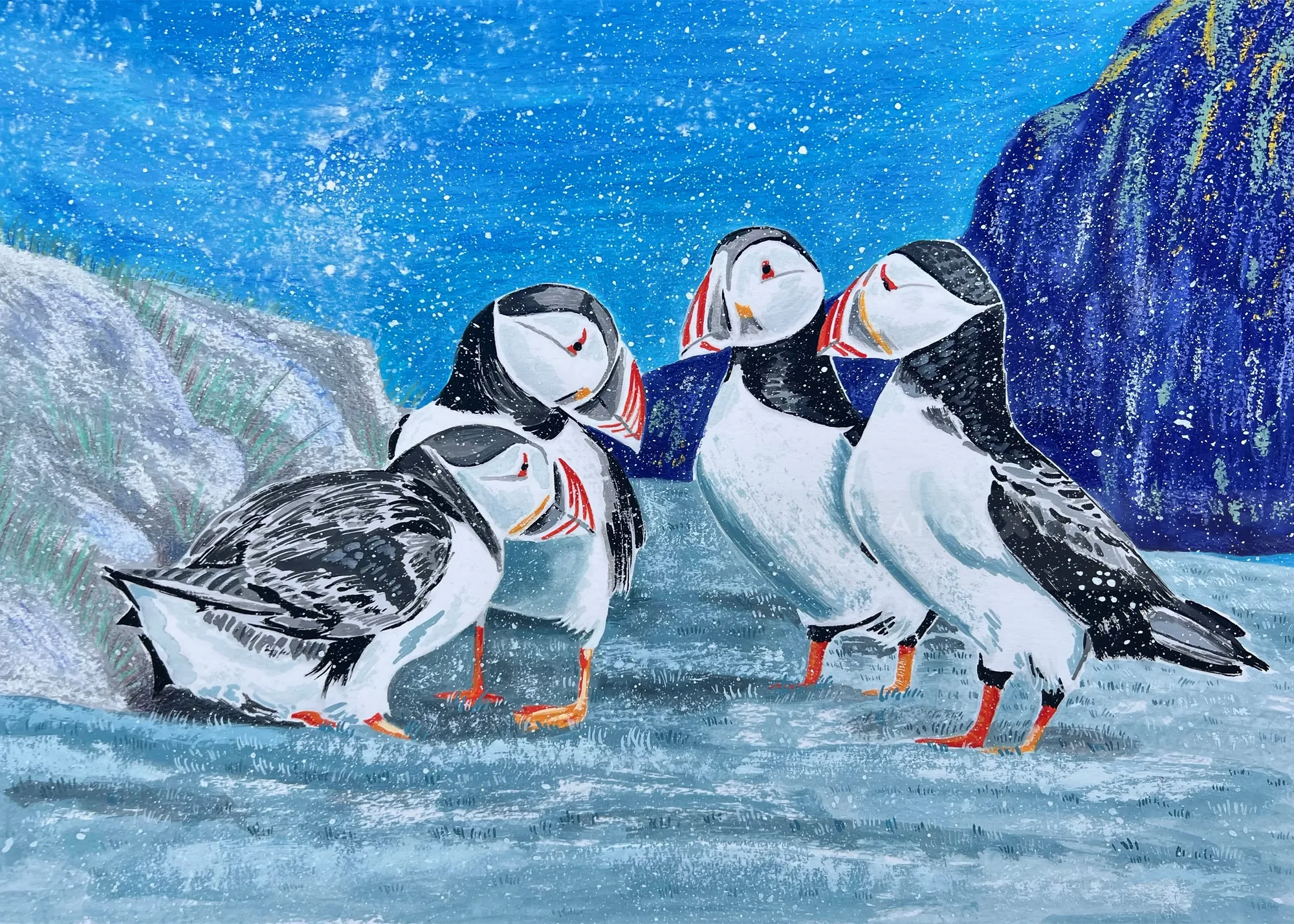 Artwork of puffins on cliffs