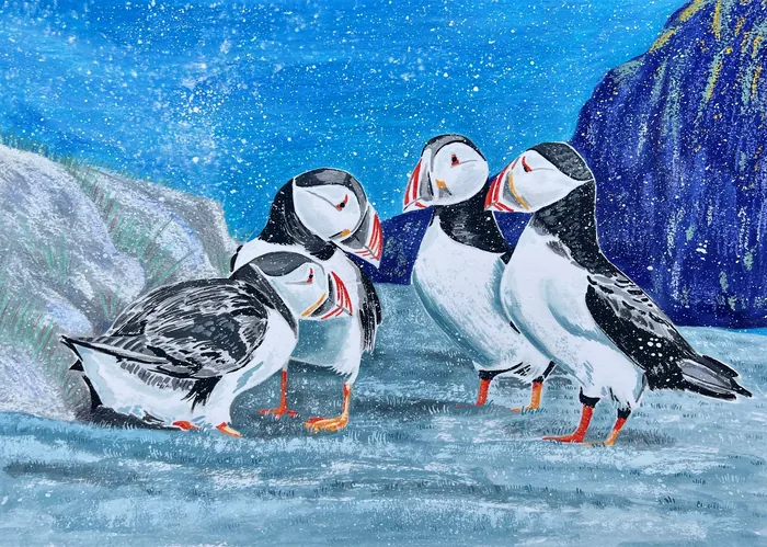 Artwork of puffins on cliffs
