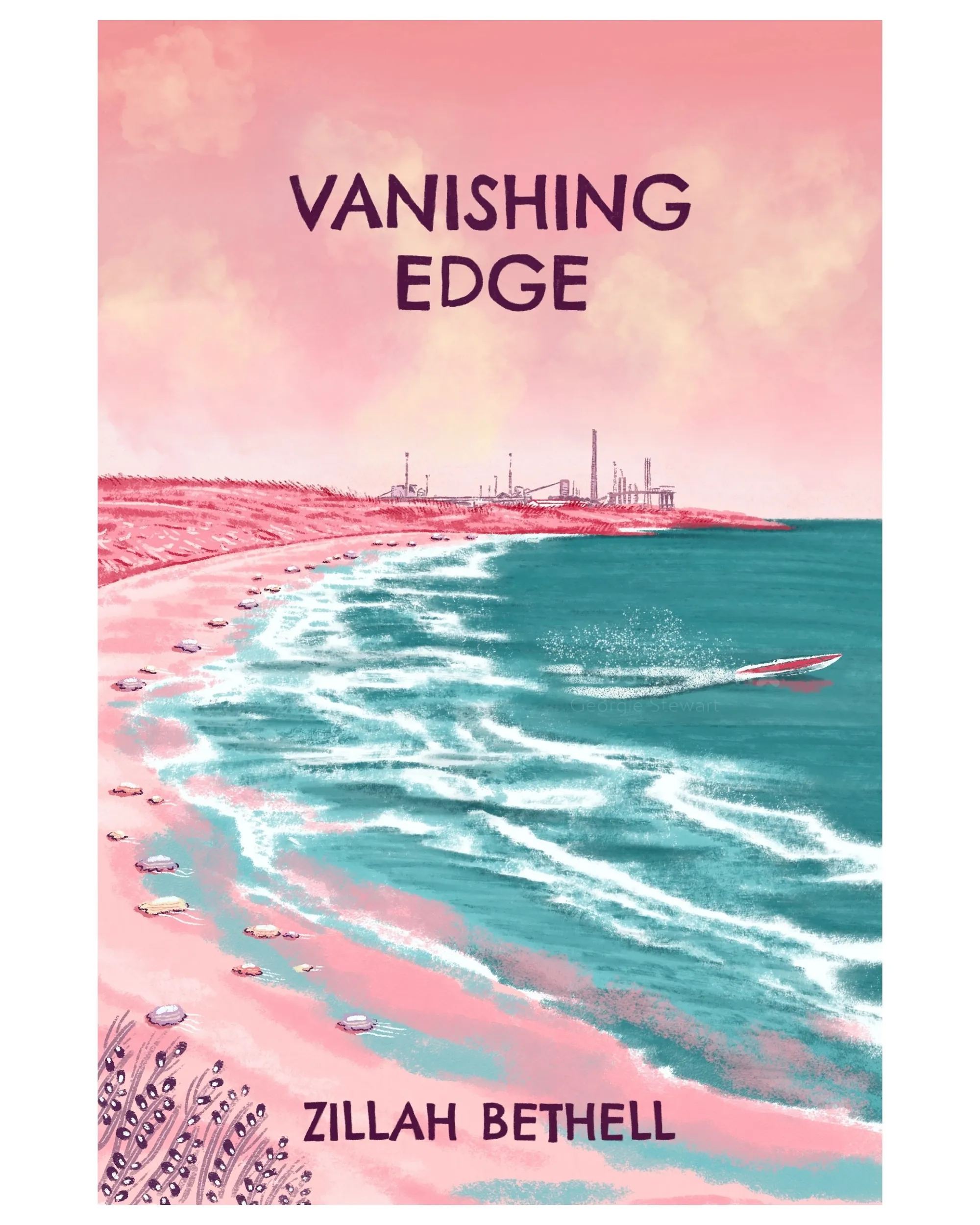 Vanishing Edge book cover with pink beach and ocean waves