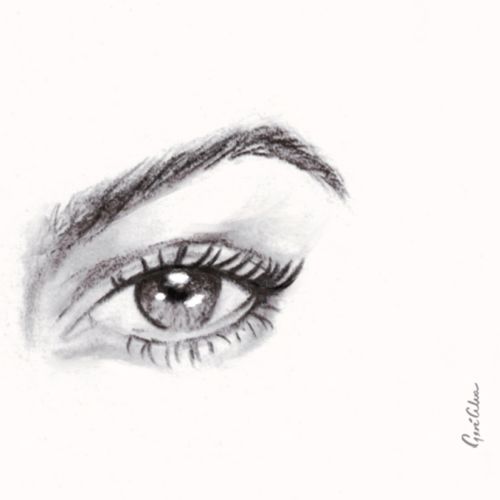 eye wink, eye illustrations, graphite eye illustrations, graphite pencil eye illustrations, eye anim