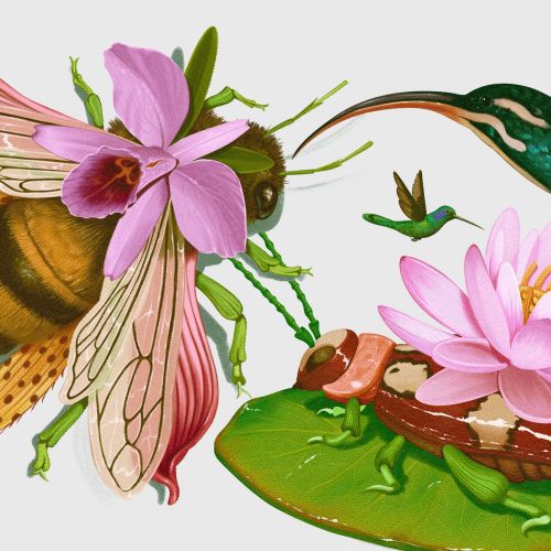Surreal creatures merging animals and plants by German Gonzalez