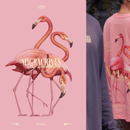 Flamingo artwork on pink apparel by German Gonzalez