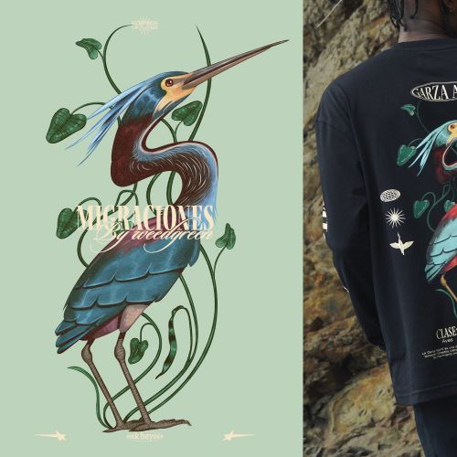 Detailed Agami Heron illustration with botanical elements by German Gonzalez