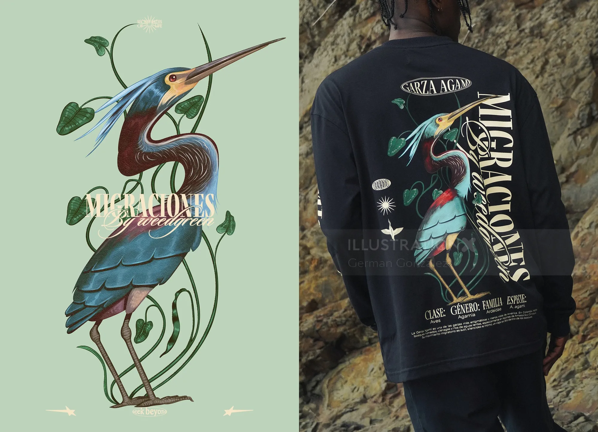 Detailed Agami Heron illustration with botanical elements by German Gonzalez