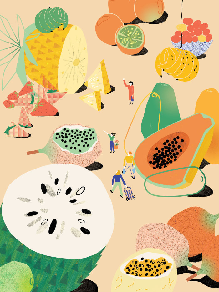 Editorial art of fruits by Gina Rosas for Heimat exhibition