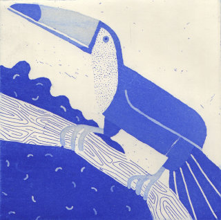 Diseño gráfico de tucan blau.