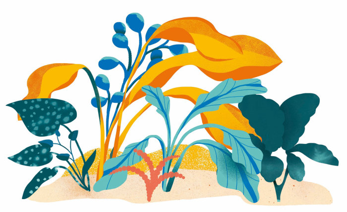 nature illustration by Gina Rosas