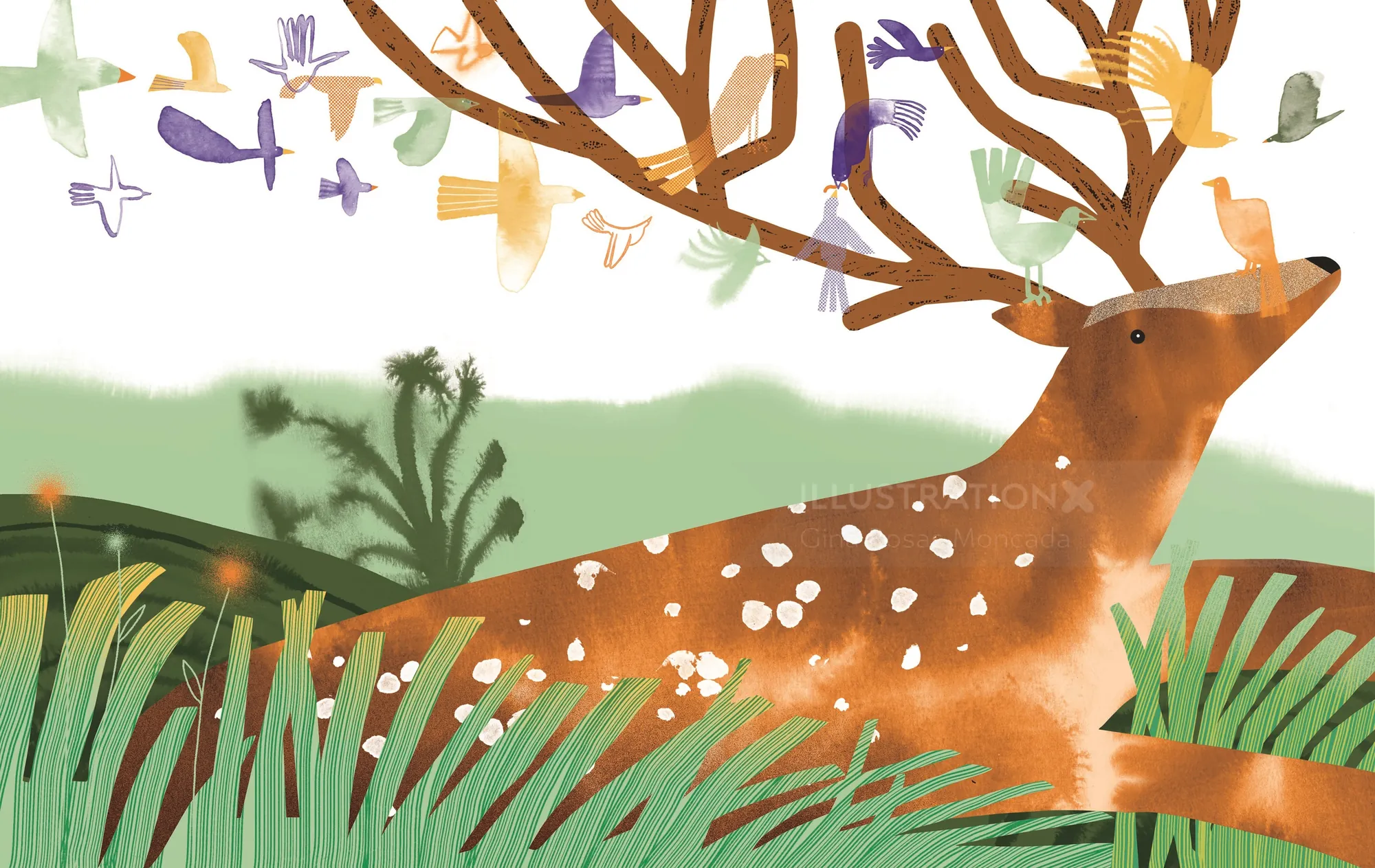 Illustration of a deer with large antlers surrounded by colorful birds and green plants by Gina Rosa