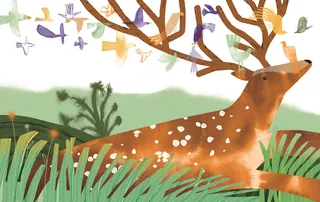 Illustration of a deer with large antlers surrounded by colorful birds and green plants by Gina Rosa