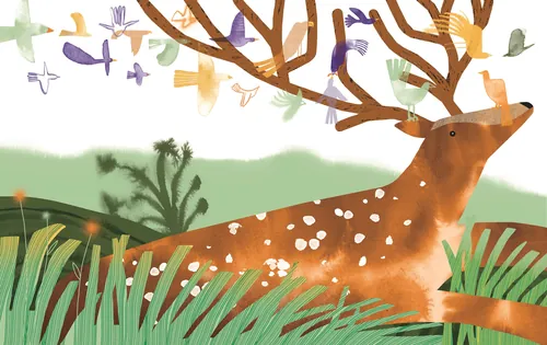 Illustration of a deer with large antlers surrounded by colorful birds and green plants by Gina Rosa