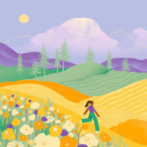 Person walking in vibrant flower fields with mountains and sunset sky