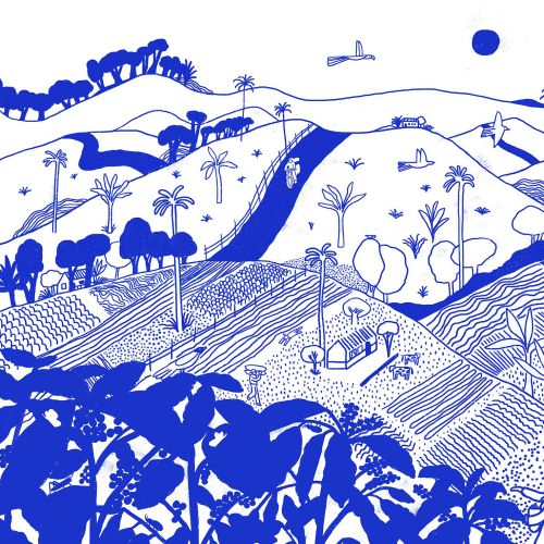 Blue and white illustration of Colombian coffee farm landscape