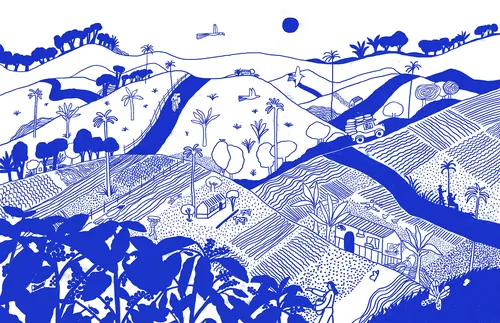 Blue and white illustration of Colombian coffee farm landscape
