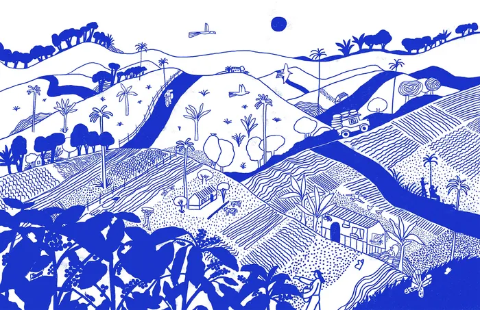 Blue and white illustration of Colombian coffee farm landscape