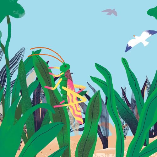 Grasshopper on green plants with birds in the sky