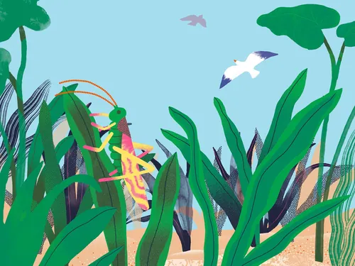 Grasshopper on green plants with birds in the sky