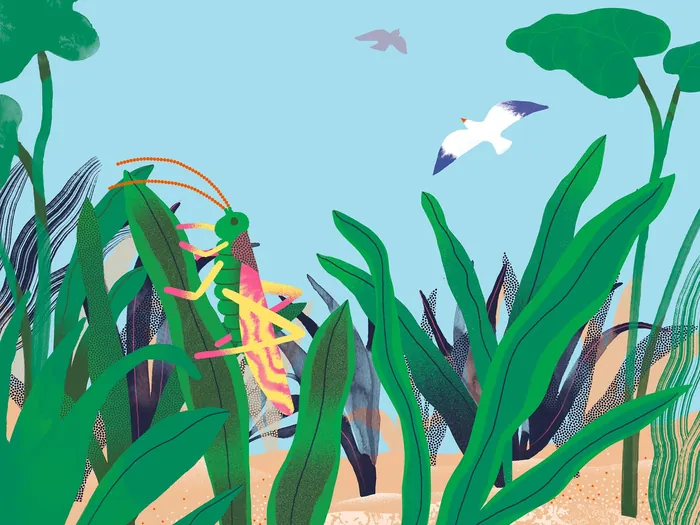 Grasshopper on green plants with birds in the sky