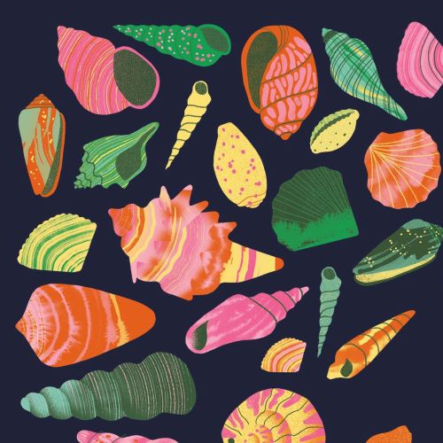 Illustration of colorful seashells on dark background