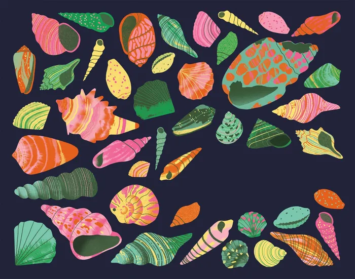 Illustration of colorful seashells on dark background