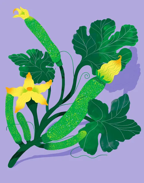 Zucchini plant with green stems and yellow flowers by Gina Rosas Moncada