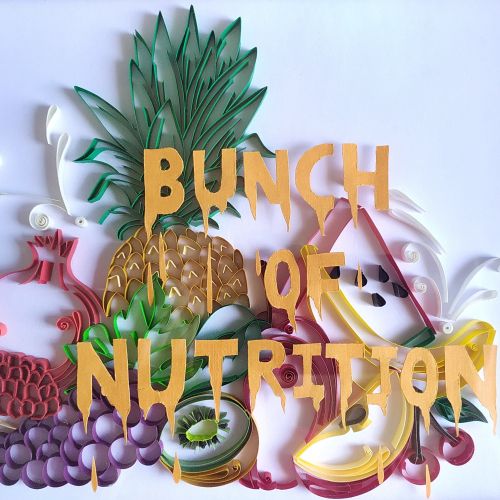 Fruit-themed paper art with orange letters 'BUNCH OF NUTRITION' by Glimpsecraft
