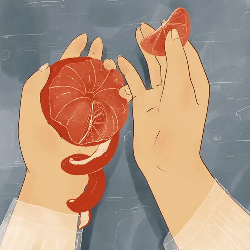 Hands peeling a grapefruit with curled rind illustrated by Grace Lanksbury